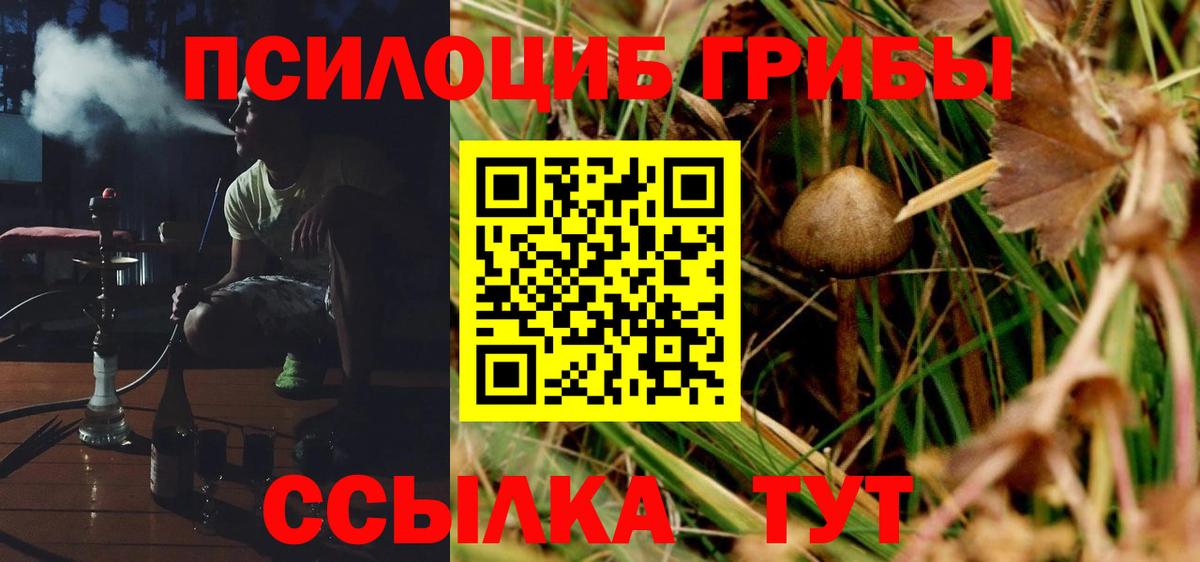 Галлюциногенные грибы GOLDEN TEACHER  где найти   Урай  Вход с VPN 